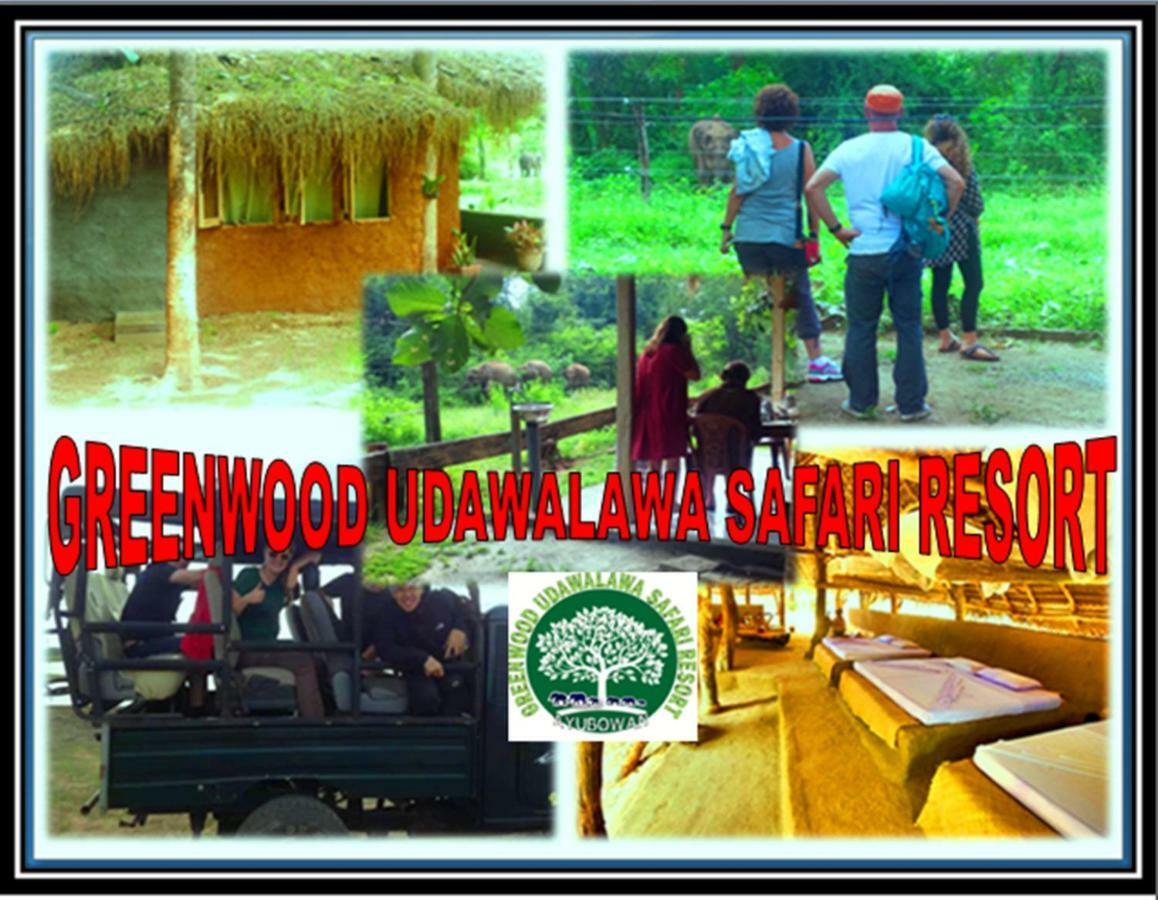 Greenwood Kandy Homestay Zewnętrze zdjęcie