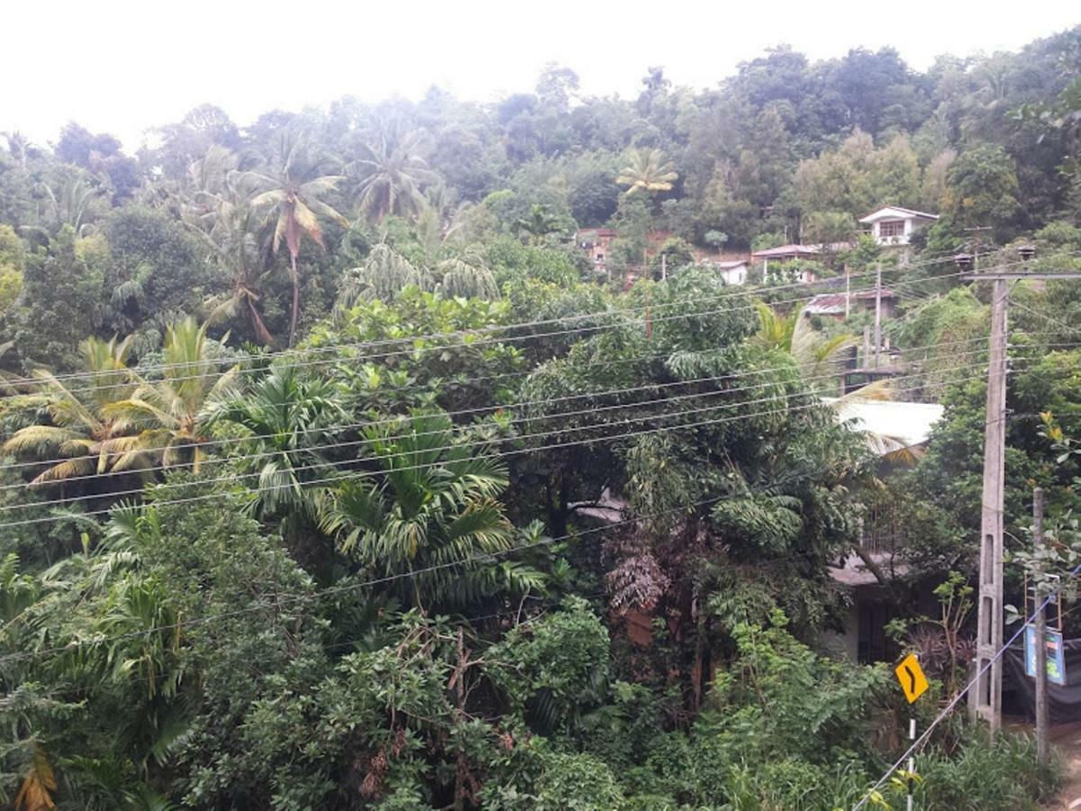 Greenwood Kandy Homestay Zewnętrze zdjęcie